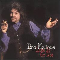 Bob Malone - Like It Or Not lyrics