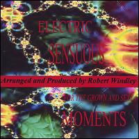 Robert Windley - Electric Sensuous Moments lyrics