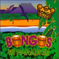 Bongo Kings - Bongos in Paradise lyrics