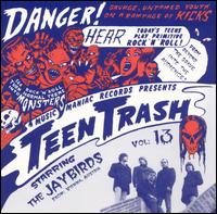 The Jay Birds - Teen Trash, Vol. 13: From Vienna, Austria lyrics