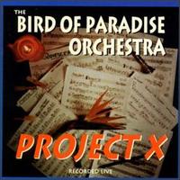 Bird of Paradise Orchestra - Project X [live] lyrics