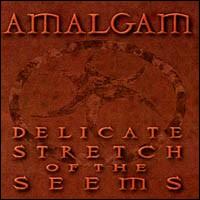 Amalgam - Delicate Stretch of the Seems lyrics