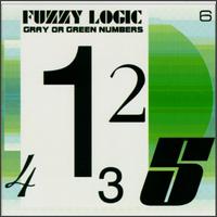Fuzzy Logic - Gray or Green Numbers lyrics