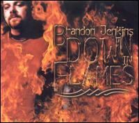 Brandon Jenkins - Down in Flames [Clean] lyrics