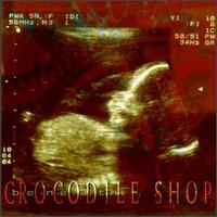 Crocodile Shop - Beneath lyrics