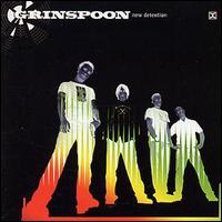 Grinspoon - New Detention [Bonus CD] lyrics