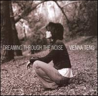 Vienna Teng - Dreaming Through the Noise lyrics