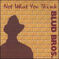 Blud Bros - Not What You Think lyrics