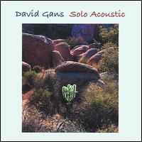 David Gans - Solo Acoustic lyrics