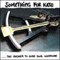 Something For Kate - The Answer to Both Your Questions lyrics