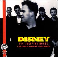 Microdisney - Big Sleeping House lyrics