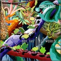 James Grant - Not the Only World lyrics
