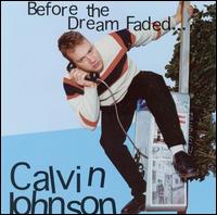 Calvin Johnson - Before the Dream Faded lyrics