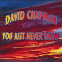 David Chapman - You Just Never Know lyrics