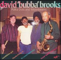 David Bubba Brooks - Polka Dots and Moonbeams lyrics