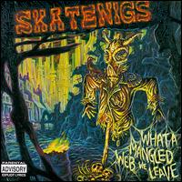 Skatenigs - What a Mangled Web We Leave lyrics