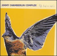 Jimmy Chamberlin - Life Begins Again lyrics