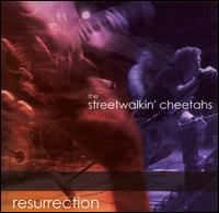 The Streetwalkin' Cheetahs - Resurrection [live] lyrics