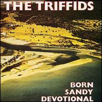 The Triffids - Born Sandy Devotional lyrics