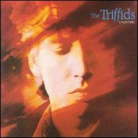 The Triffids - Calenture lyrics