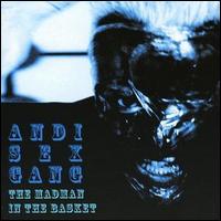 Andi Sexgang - Madman in a Basket lyrics