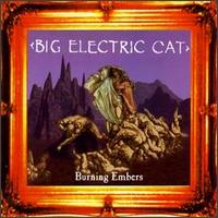 Big Electric Cat - Burning Embers lyrics