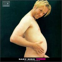 Baby Bird - Fatherhood lyrics