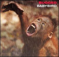 Baby Bird - Bugged lyrics