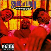 Shadz of Lingo - A View to a Kill lyrics