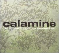 Calamine - What We Forgot to Remember lyrics