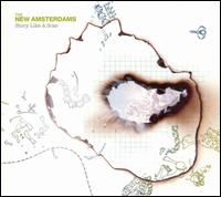 The New Amsterdams - Story Like a Scar lyrics