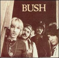 Bush - Bush lyrics