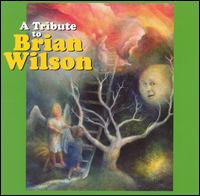 Cameron Michael Parkes - A Tribute to Brian Wilson lyrics