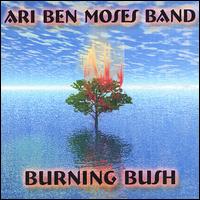 Ari Ben Moses - Burning Bush lyrics
