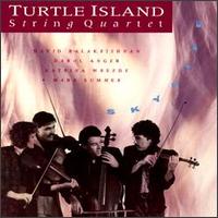 Turtle Island String Quartet - Skylife lyrics