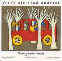 Frode Gjerstad - Through the Woods lyrics