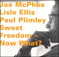 Joe McPhee - Sweet Freedom, Now What? lyrics