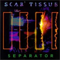 Scar Tissue - Separator lyrics