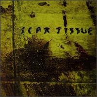 Scar Tissue - TMOTD lyrics