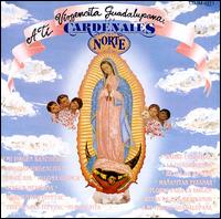 Los Cardenales del Norte - A Ti Virgencita Guadalupana lyrics