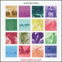 Stephen Prina - Push Comes to Love lyrics