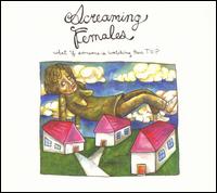 Screaming Females - What If Someone Is Watching Their T.V.? lyrics