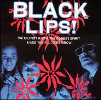 Black Lips - We Did Not Know the Forest Spirit Made the Flowers Grow lyrics