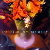 Downy Mildew - Slow Sky lyrics