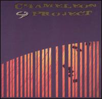 The Chameleon Project [Canada] - Stereoscopic lyrics