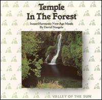 David Naegele - Temple In The Forest [1982] lyrics