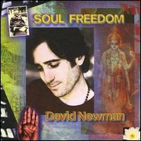 David Newman [New Age] - Soul Freedom lyrics