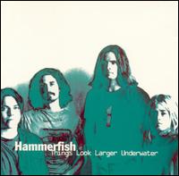 Hammerfish - Things Look Larger Underwater lyrics