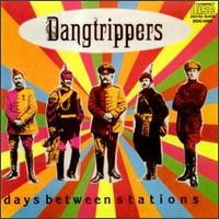 Dang Trippers - Days Between Stations lyrics