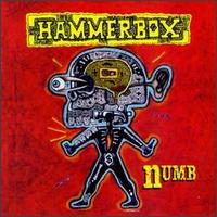 Hammerbox - Numb lyrics